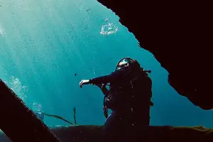 Tour image of Snorkel Or Dive The Amazing Rainbow River Florida