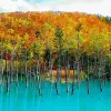 Image of Eco Tours
