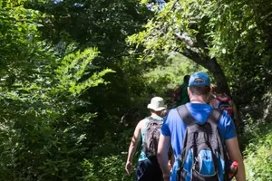Tour image of Gros Piton Hike