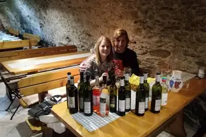Tour image of Bratislava 3-Hour Wine Tasting