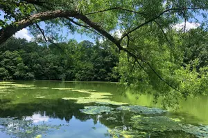 Tour image of Prospect Park Tour