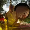 Image of Wellness Classes