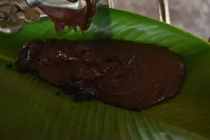 Tour image of Cahuita National Park & Bribri chocolate & Waterfall visit.