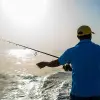 Image of On the Water