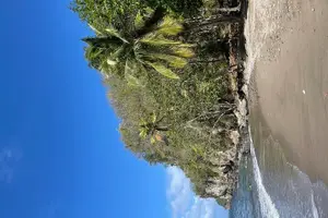 Tour image of Saint Lucia Private East Coast Tour