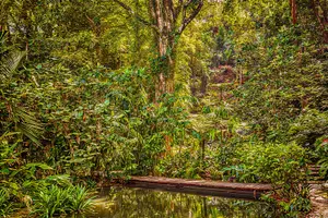 Tour image of Tickets to Tropical Spice Garden Penang
