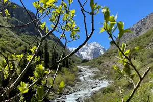 Tour image of Tour to the Ala Archa National Park