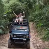 Image of Safaris