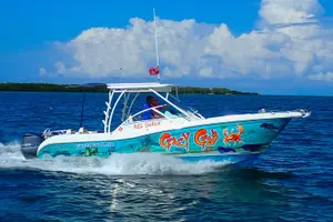 Tour image of Private Stingray City and Snorkeling Half Day Charter for 6 Guest