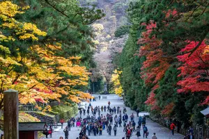 Tour image of Nikko Private Customizable Full Day Tour