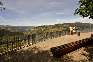 Tour image of Private Douro Valley Wine Tour for True Wine Lovers
