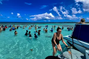 Tour image of Stingray City Experience Antigua - Cruise Ship Passengers Edition