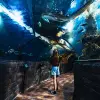 Image of Aquariums
