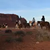 Image of Pack Animal Tours