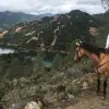 Image of Nature and Wildlife Tours