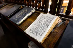 Tour image of Budapest Jewish Heritage Memorial Walking Tour & Synagogue Entry