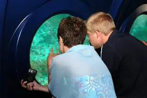 Tour image of 2-Hour Maldives Submarine Tour From Male