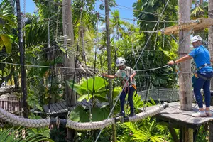 Tour image of Dunn's River Climb and Zipline Over The Falls