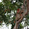 Image of Nature and Wildlife Tours