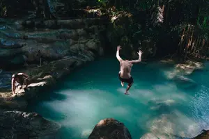 Tour image of Whale Shark Encounter and Kawasan Falls Canyoneering with Lunch