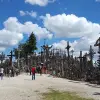 Image of Castle Tours
