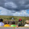 Image of Airboat Tours