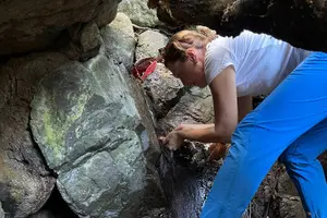 Tour image of Brewers Bay Eco Hiking Tour