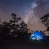 Image of Nature Walks