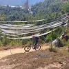 Image of Mountain Bike Tours