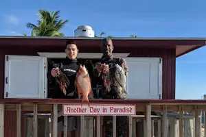 Tour image of Bahamas