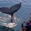 Image of Nature and Wildlife Tours