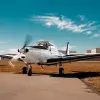 Image of In the Air