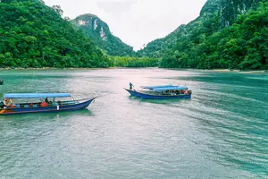 Tour image of Langkawi Mangrove Tour
