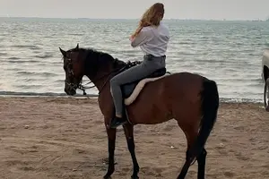 Tour image of Private Horse Riding Experience at Red Sea
