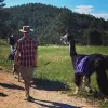 Image of Pack Animal Tours