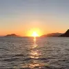 Image of Night Cruises