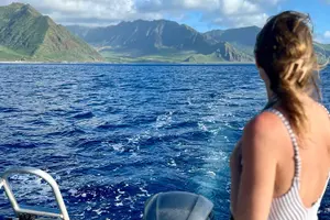 Tour image of Wild Dolphin Watching and Snorkel Safari Off West Coast of Oahu