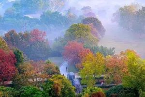 Tour image of Nanjing Purple Mountain Private Tour with Tangshan Hot Spring Spa Experience