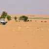 Image of Zoos & Wildlife Parks