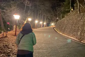 Tour image of Private Night walk Tour at the foot of Mt. Fuji