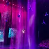 Image of Burlesque Shows