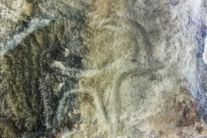 Tour image of Gobustan, Mud volcanoes, Fire temple, Fire mountain PRIVATE TOUR