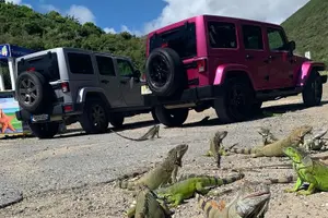 Tour image of 3-Hour Guided Jeep Tour Island Highlights and 1-Hour Relax by Beach