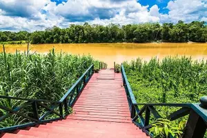 Tour image of 3D2N Kinabatangan River Cruise