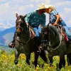 Image of Pack Animal Tours