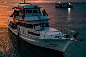 Tour image of La Bombona Diving Koh Tao Open Water Course