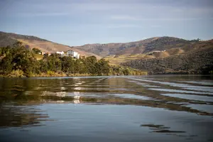Tour image of Douro Valley and Wine Day Trip from Porto