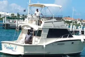 Tour image of Half-Day at Green Cay Bahamas Snorkeling with Turtles