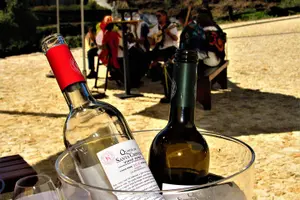 Tour image of Wine Tasting & Lunch | Quinta de Santa Cristina Vinho Verde