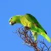Image of Photography Tours